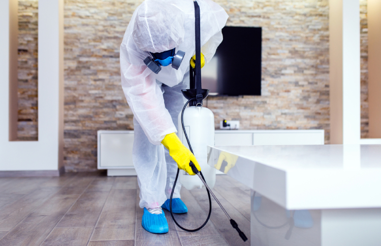 Visible cleaning programmes are key to consumer confidence