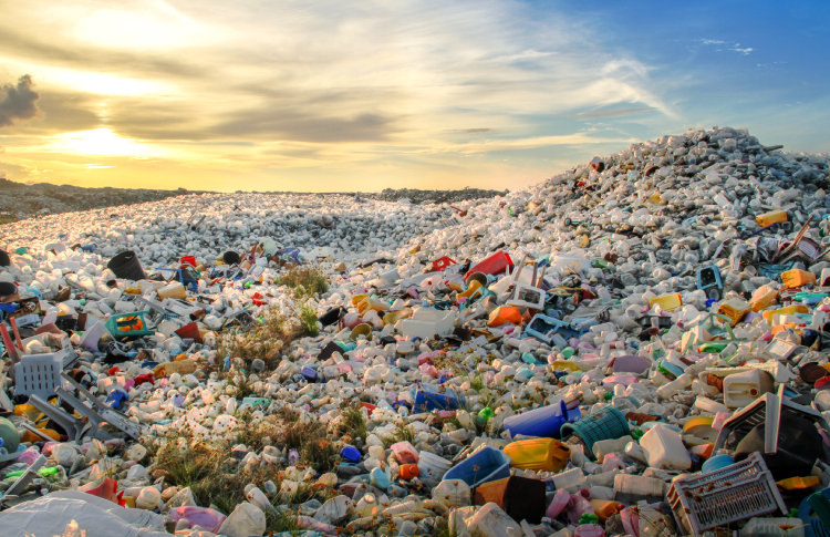 SC Johnson helps Plastic Bank divert two billion plastic bottles from entering the ocean