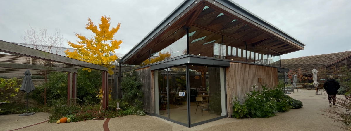 A garden glow-up A garden glow-up