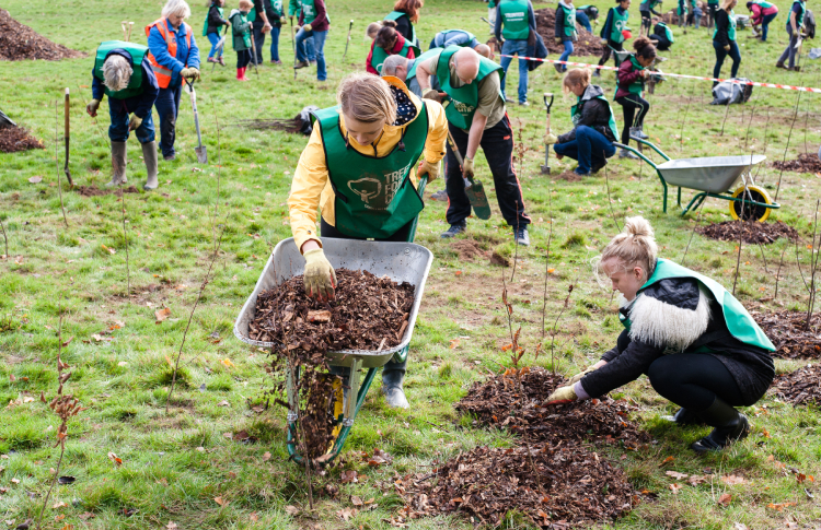 Northwood Hygiene Products on course to plant 1000 trees by end of 2023