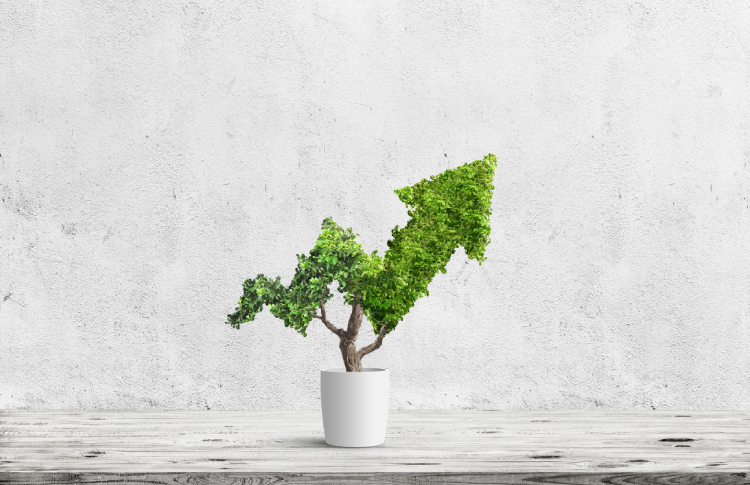 New record figures for the value of the sector